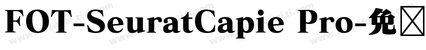 FOT-SeuratCapie Pro字体转换
